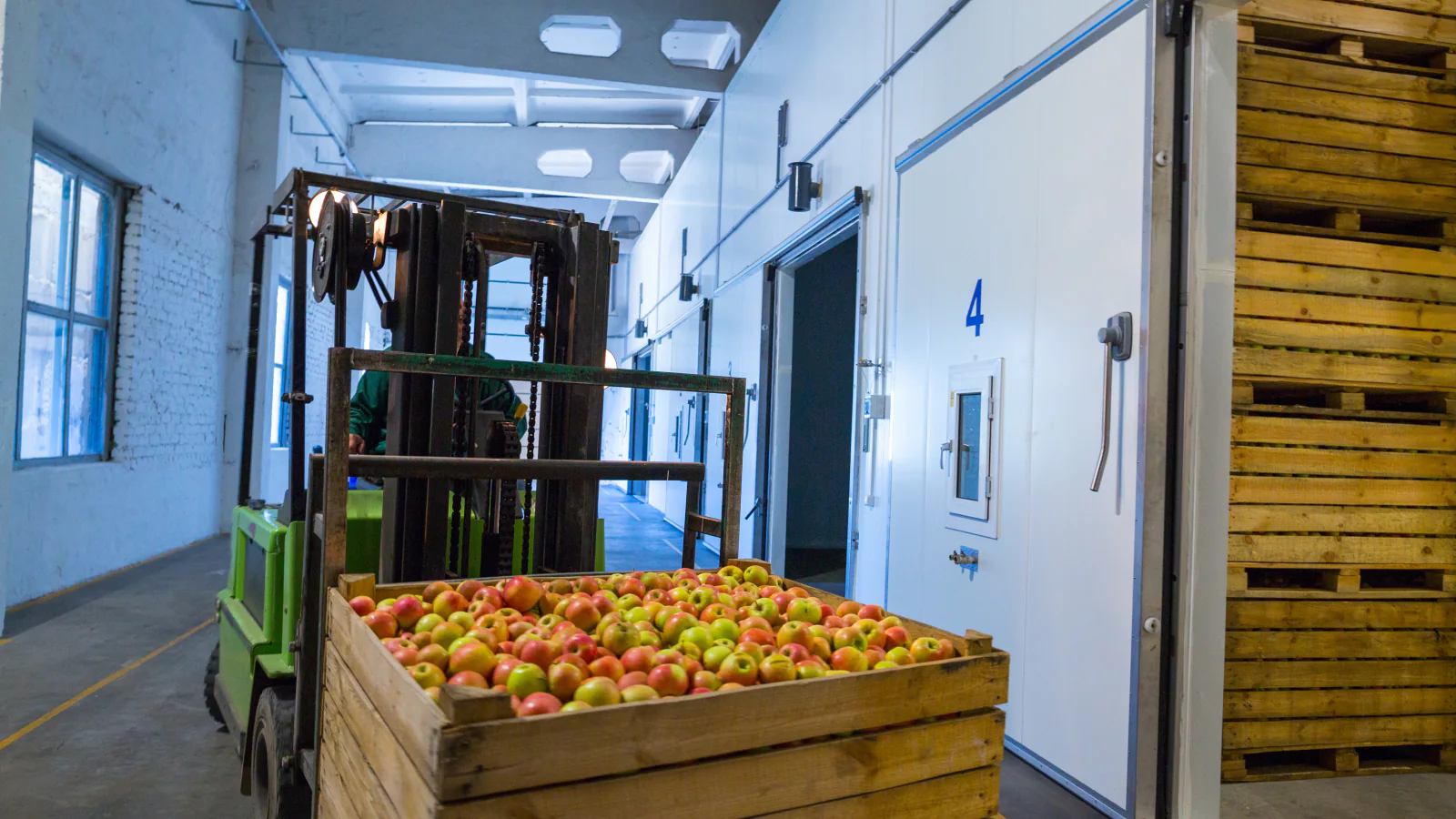 Forklift transporting a crate of apples through a refrigerated cold-storage facility